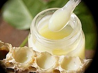 Gelée Royale