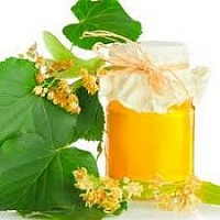 Miel de tilleul